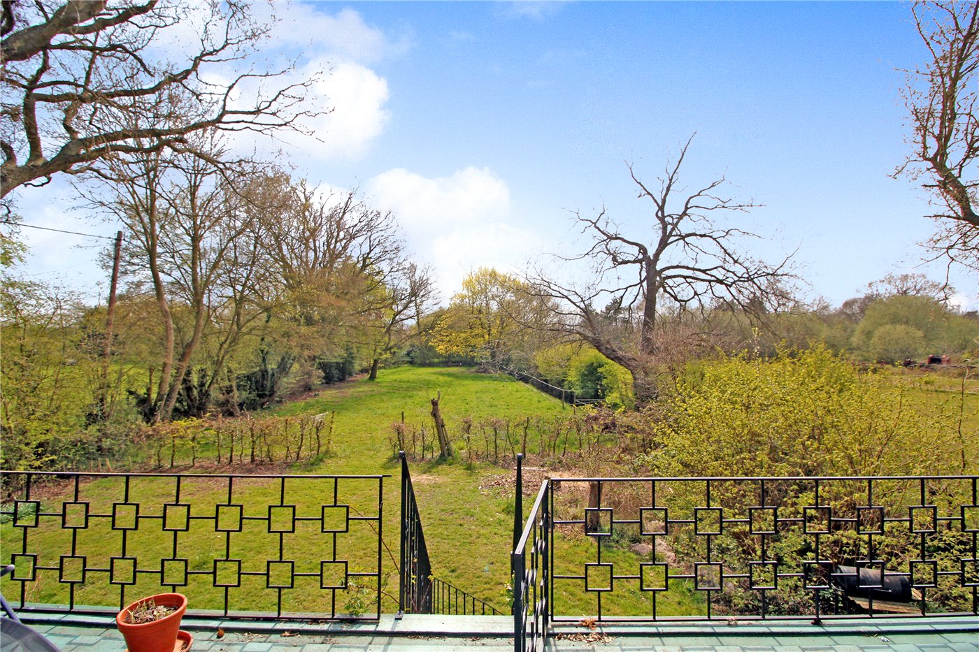 Roof Terrace